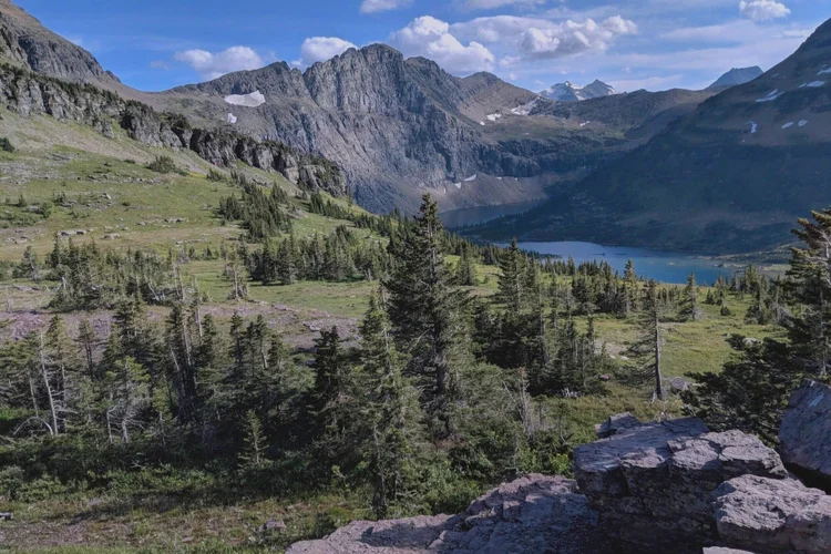 Rocky Mountain Trauma Recovery & Consultation