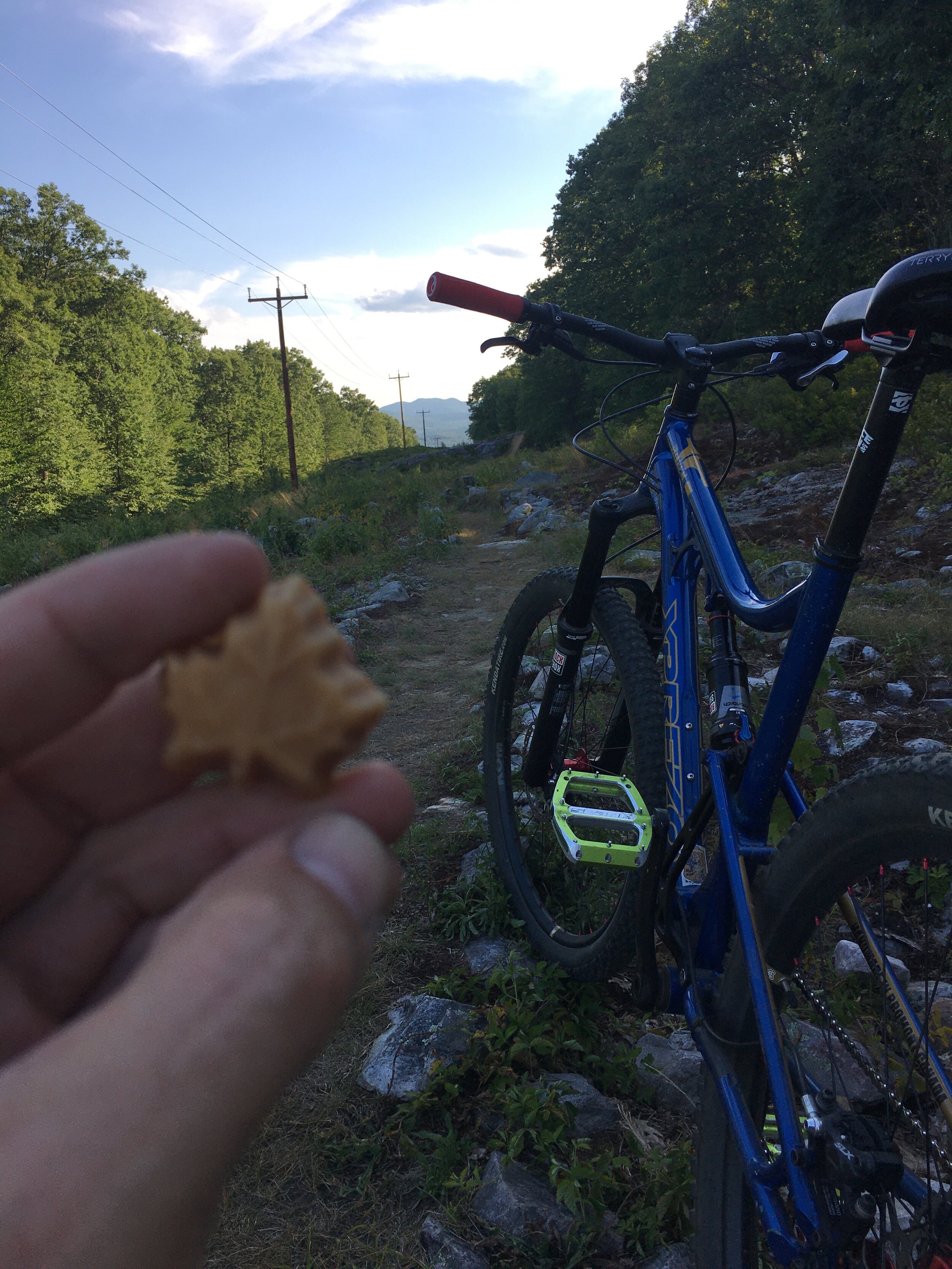  Playing in Pine Hill Park bike trails with an Xprezo Ad Hoc and yummy maple candies!! 