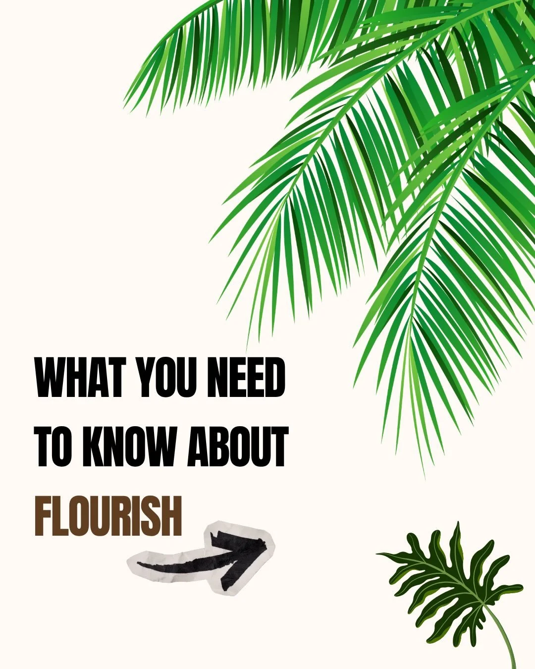 Wow! Thank you! Thank you! Trinity fam. We are extremely grateful for you all. Now let&rsquo;s launch Flourish🥹🎉🎉

-
-
#launchdesigns #buyblackowned #soldout❌ #thankful🙏🏻 #explor&euml;pag&euml;