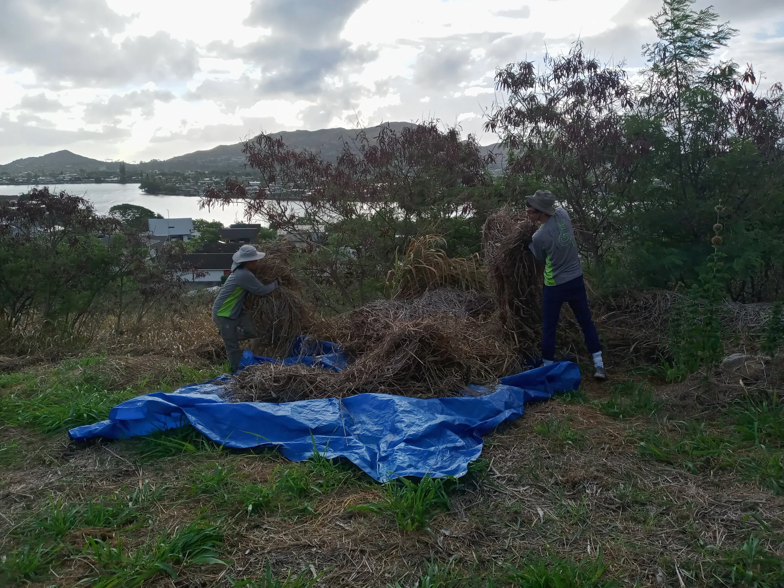 GROW Externships Land Management Training — Enchanted Gardens