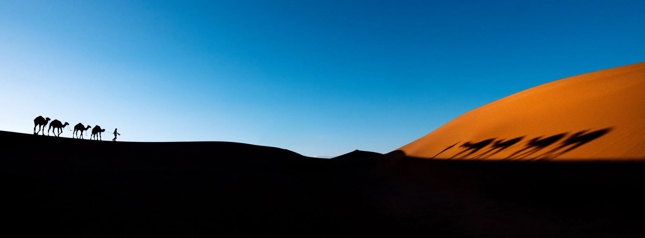 On the Desert.jpg
