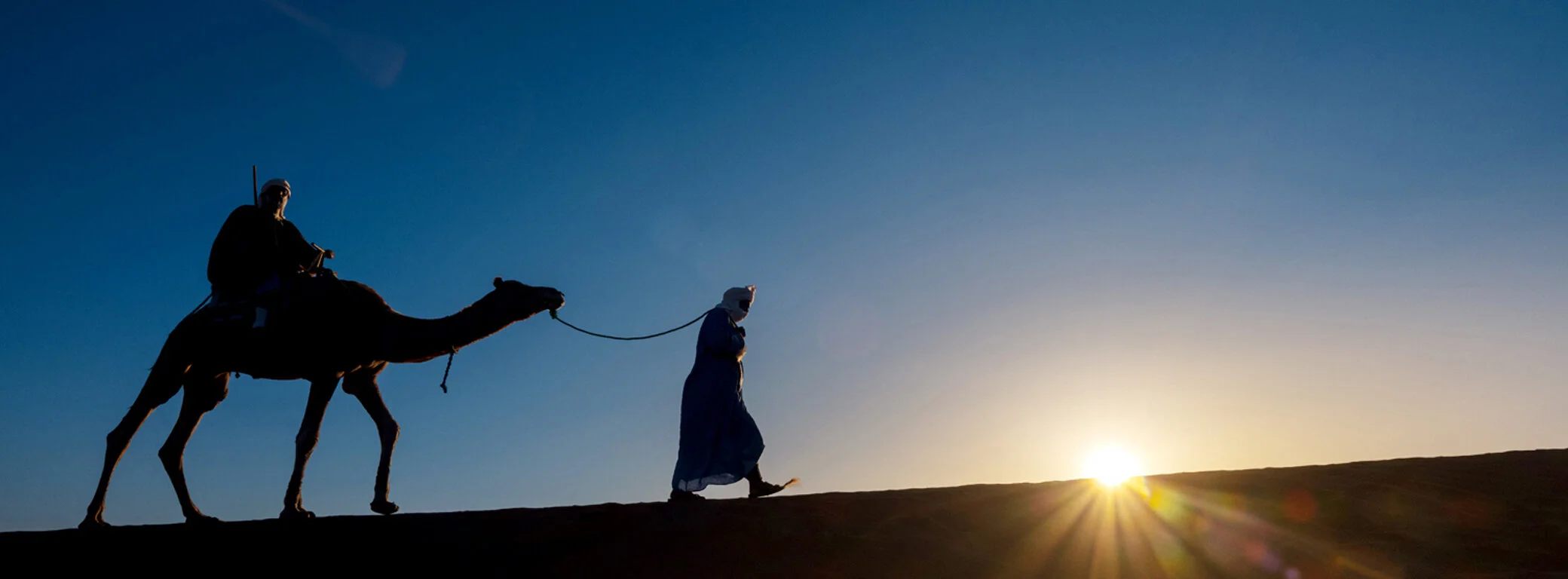 Sahara Desert Camel 2.jpg