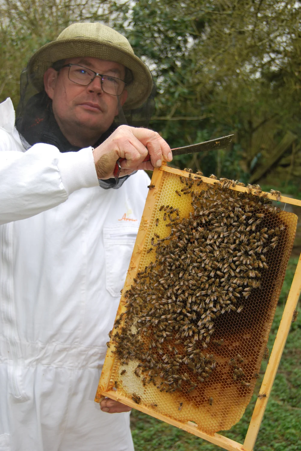 JF + ABEILLES.png
