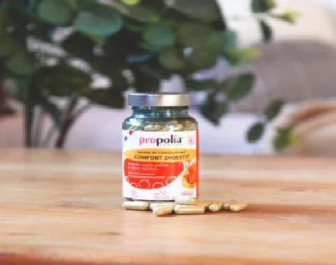 Confort Digestif Propolis, Argile, Pollen, Algues marines pot 120 gélules
