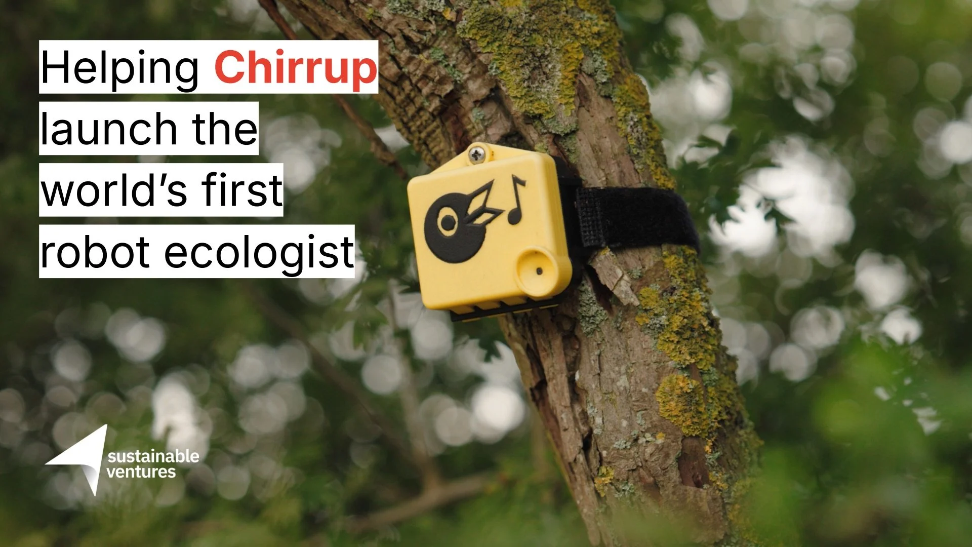 Meet Our Members: Helping Chirrup Launch the World’s First Robot Ecologist