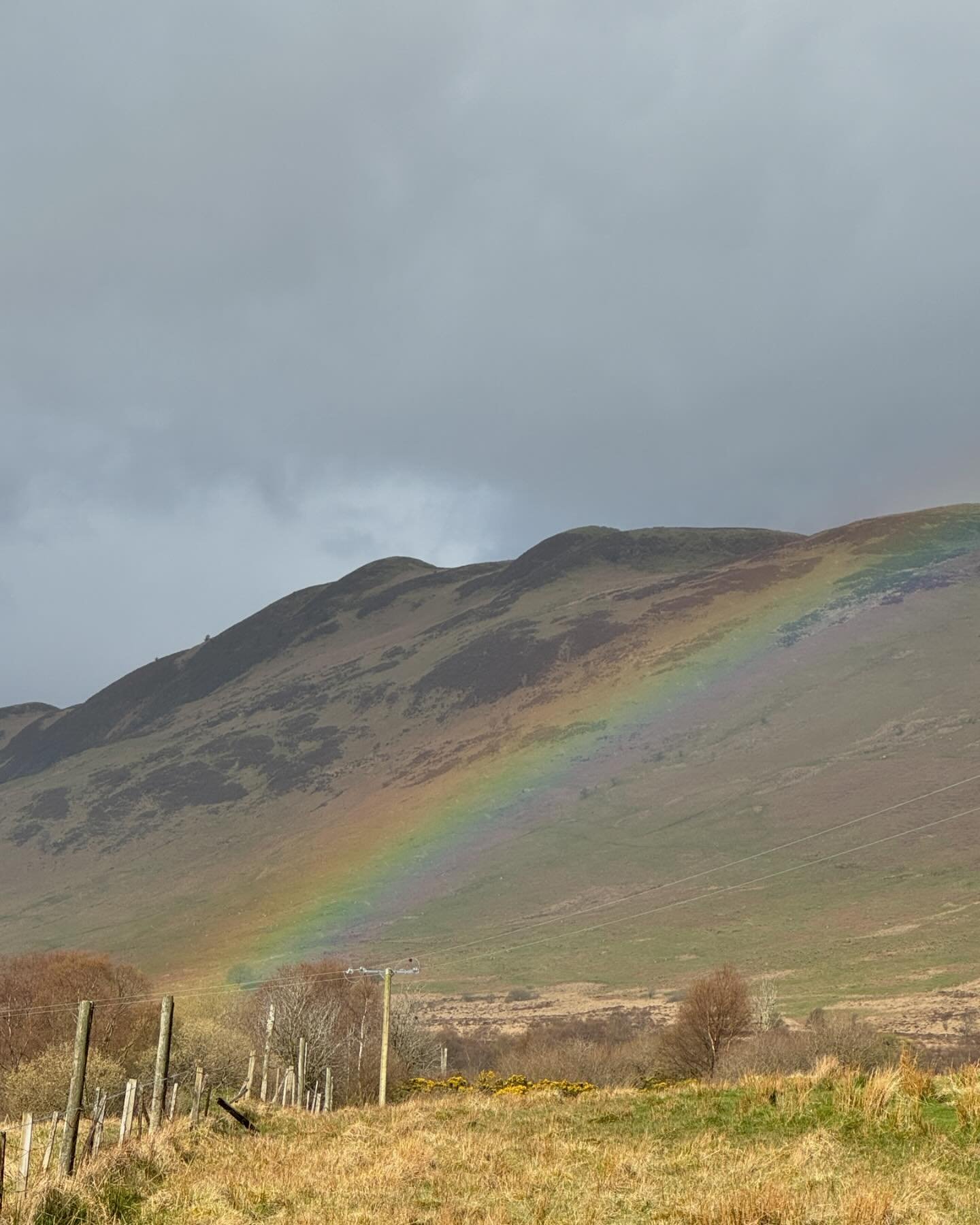 Oh what a day! Amazing, magical, exhausting&hellip;

Day 2 of the West Highland Way &hellip;and the scenery&hellip;the forests&hellip;the path.

So much, I&rsquo;ll have to write more posts. But today&rsquo;s post is all about Conic Hill. Situated on