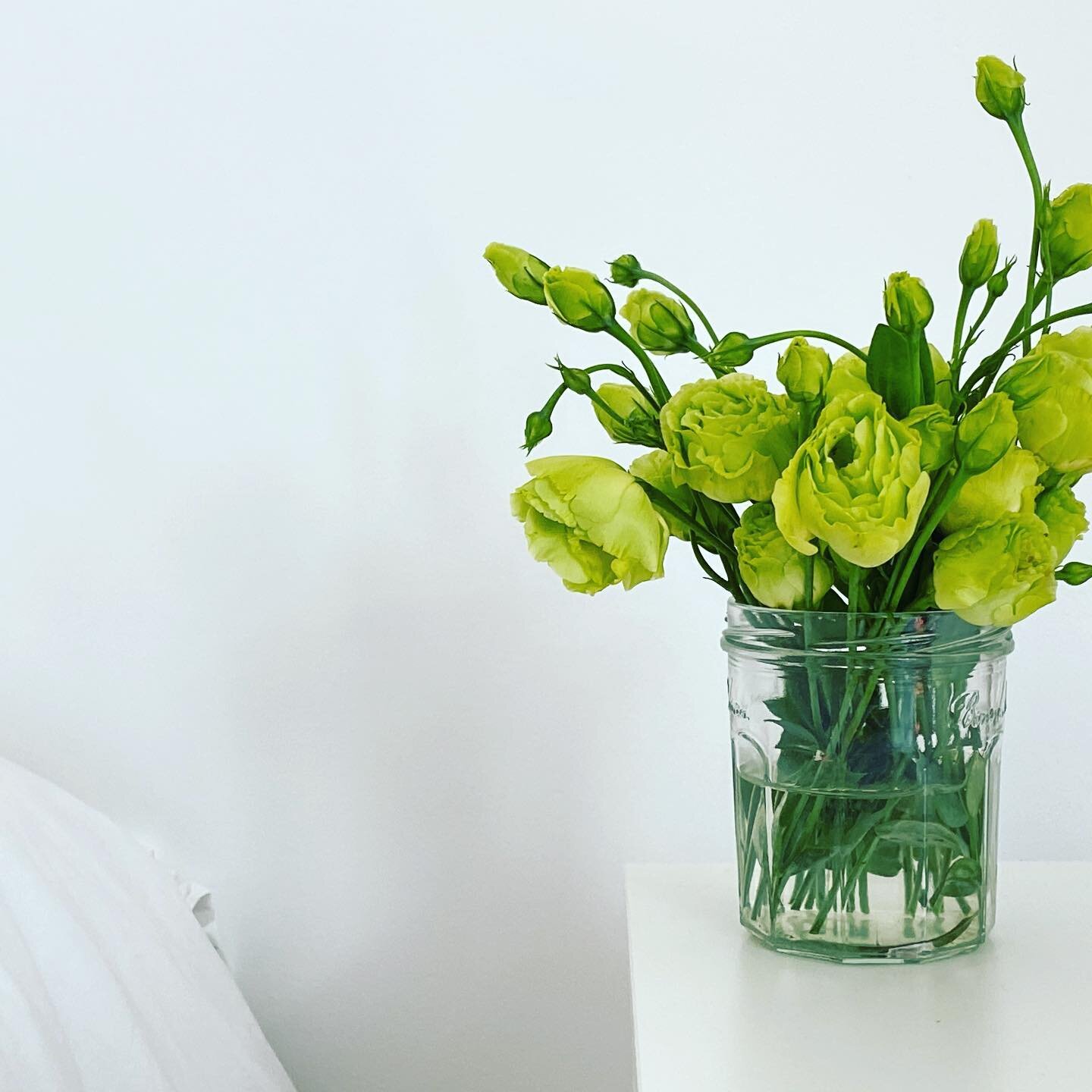 My weekly fresh flowers.
I love to see my small vase of flowers when I go to sleep and, it's the first thing that I see when I wake up.
What makes you smile when you wake up?
.
.
.
#flowers #cozyhome #smile #50andrising #estorildiary #goodmood #cozy 