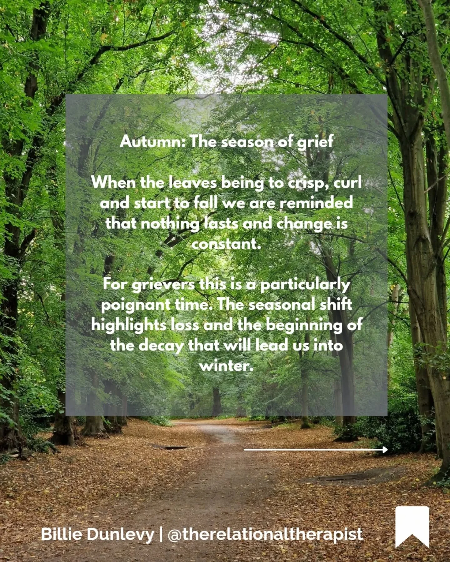 'Nothing gold can stay' 
Frost 
#autumn #grief #seasonschange #imperminance #change #loss #missingsomeone #mentalhealth #therapy