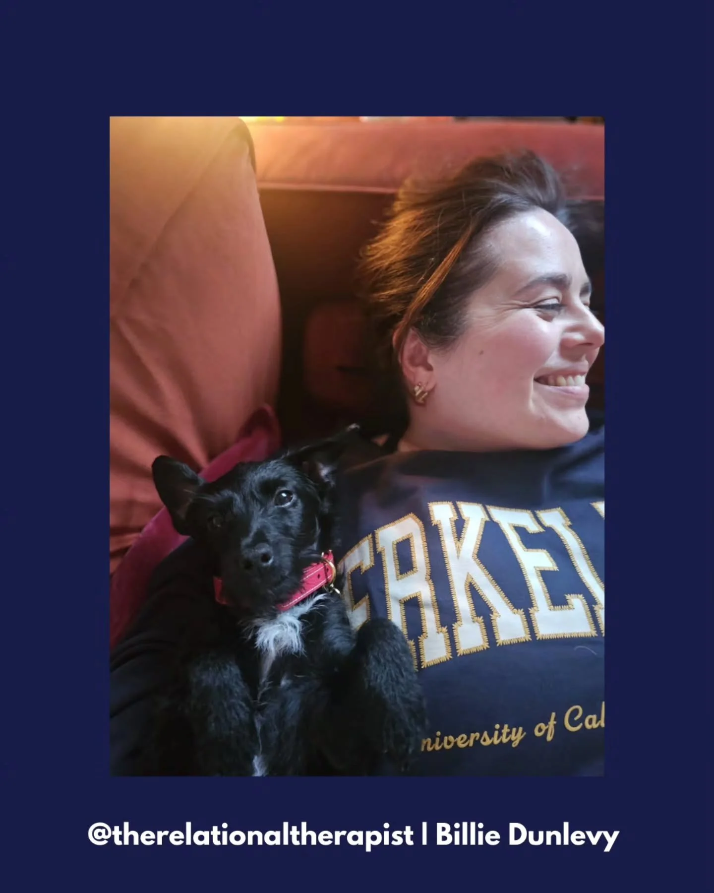 February was defined by a exciting new arrival in our home. Gypsy, a 6 month old rescue pup who was abandoned at a petrol station and taken in by a local rescue charity.

She is a total sweetheart ( with a wild streak!) and wants nothing more than to