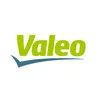 Valeo_Reference_Amadeus_Executives.jpg