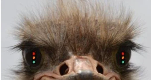 Plaidoyer pour l’action préventive