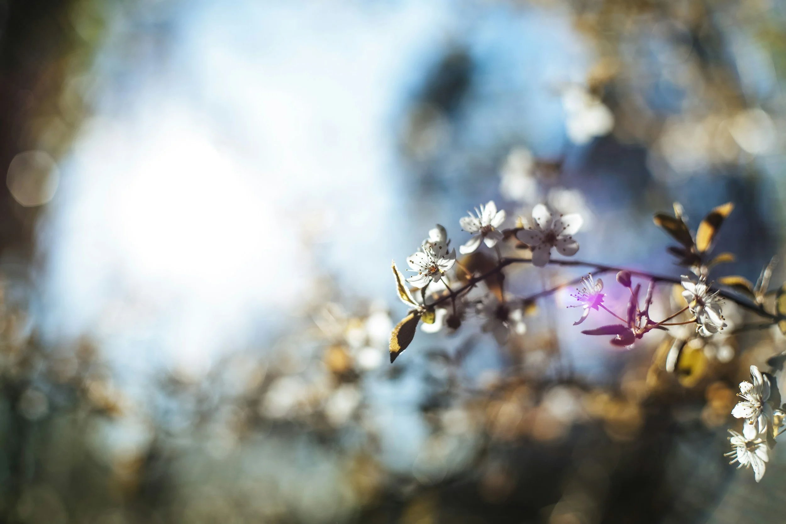 Breathwork for Awakening 9/4/25