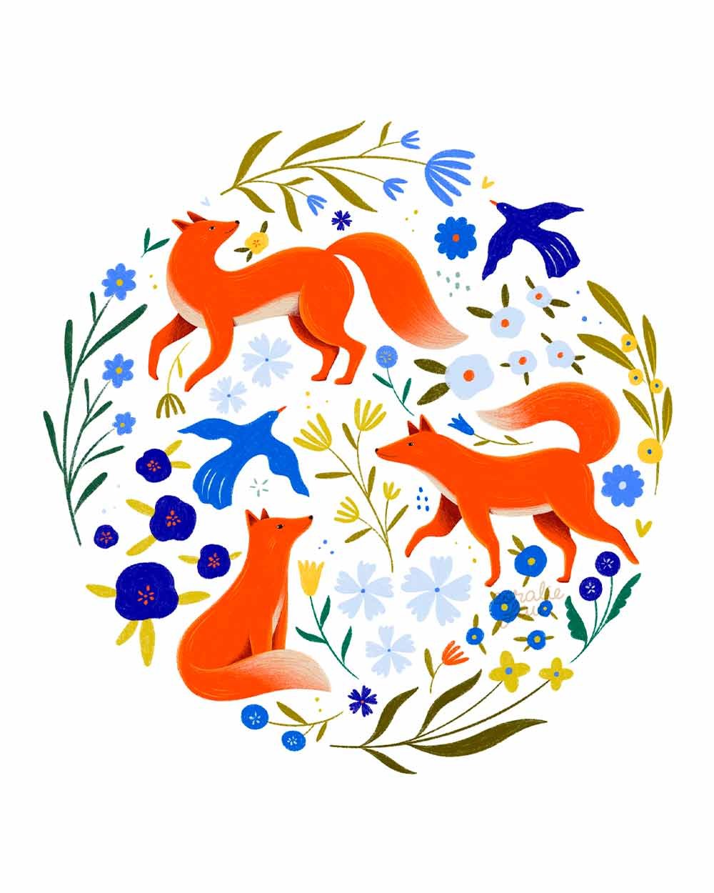 Illustration renard herbier Coralie Fau