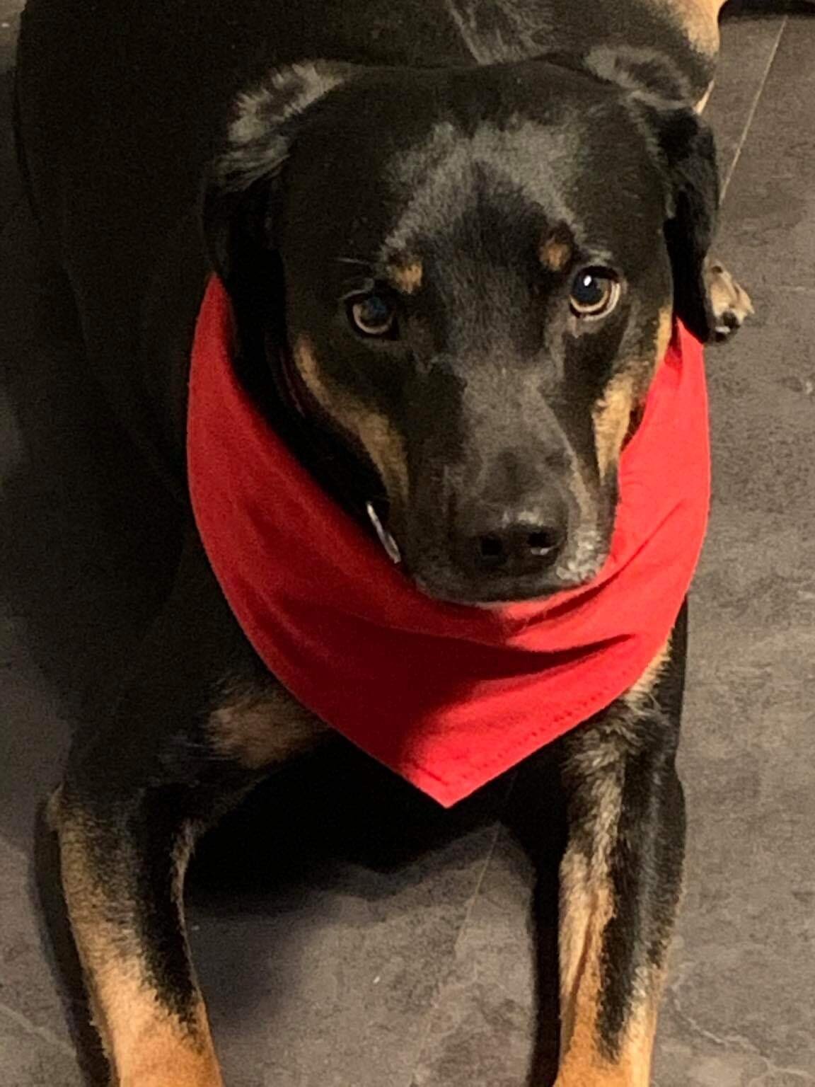 Cato 030121.jpg