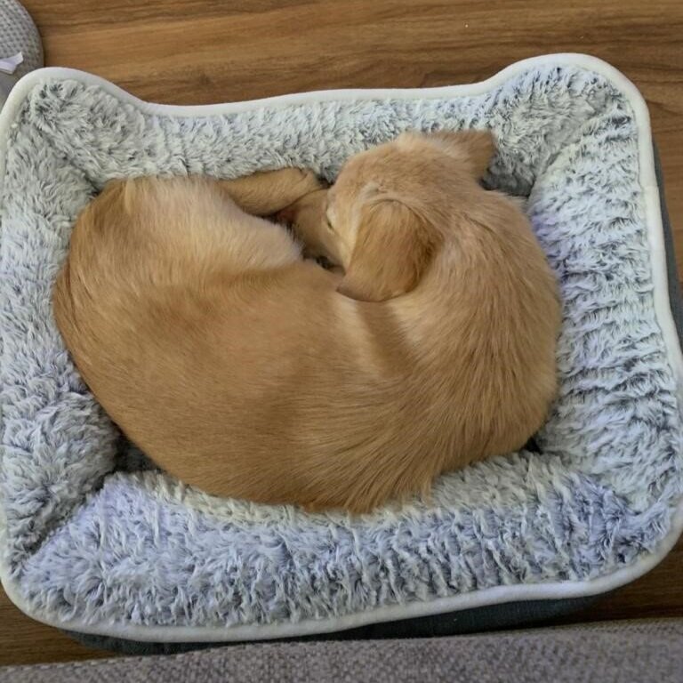 Tilly+2.jpg