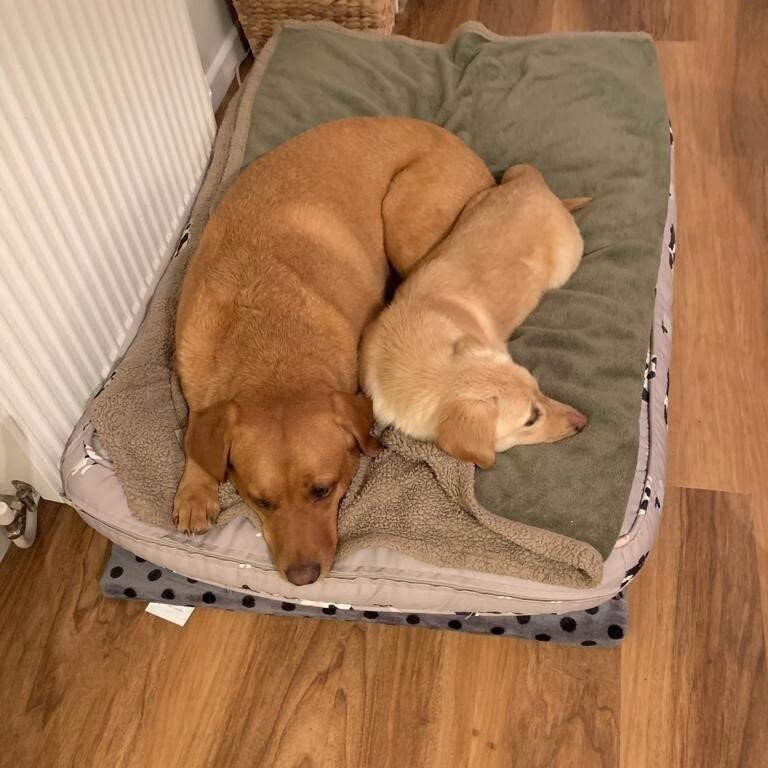 Tilly+3.jpg