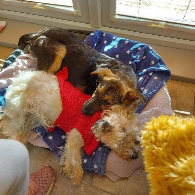 Dudley (was Oakley)