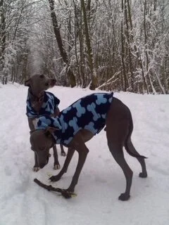 Snow time!