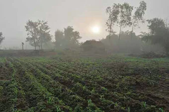 Organic farm at Museflower Spa - delicious aquaponics lovingly grown organic food