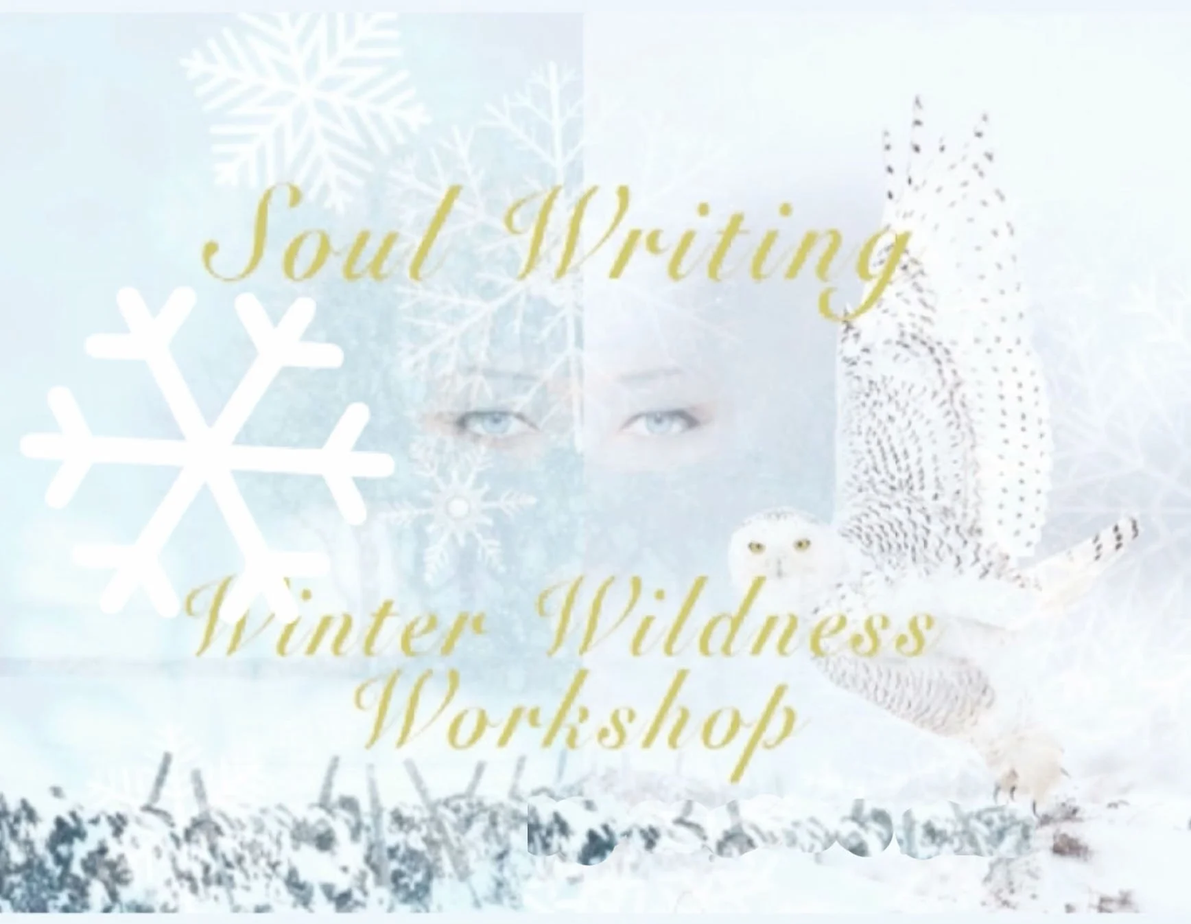 Winter-themed poster featuring text "Soul Writing Winter Wildness Workshop," a snowflake, a snowy owl, and a winter landscape.
