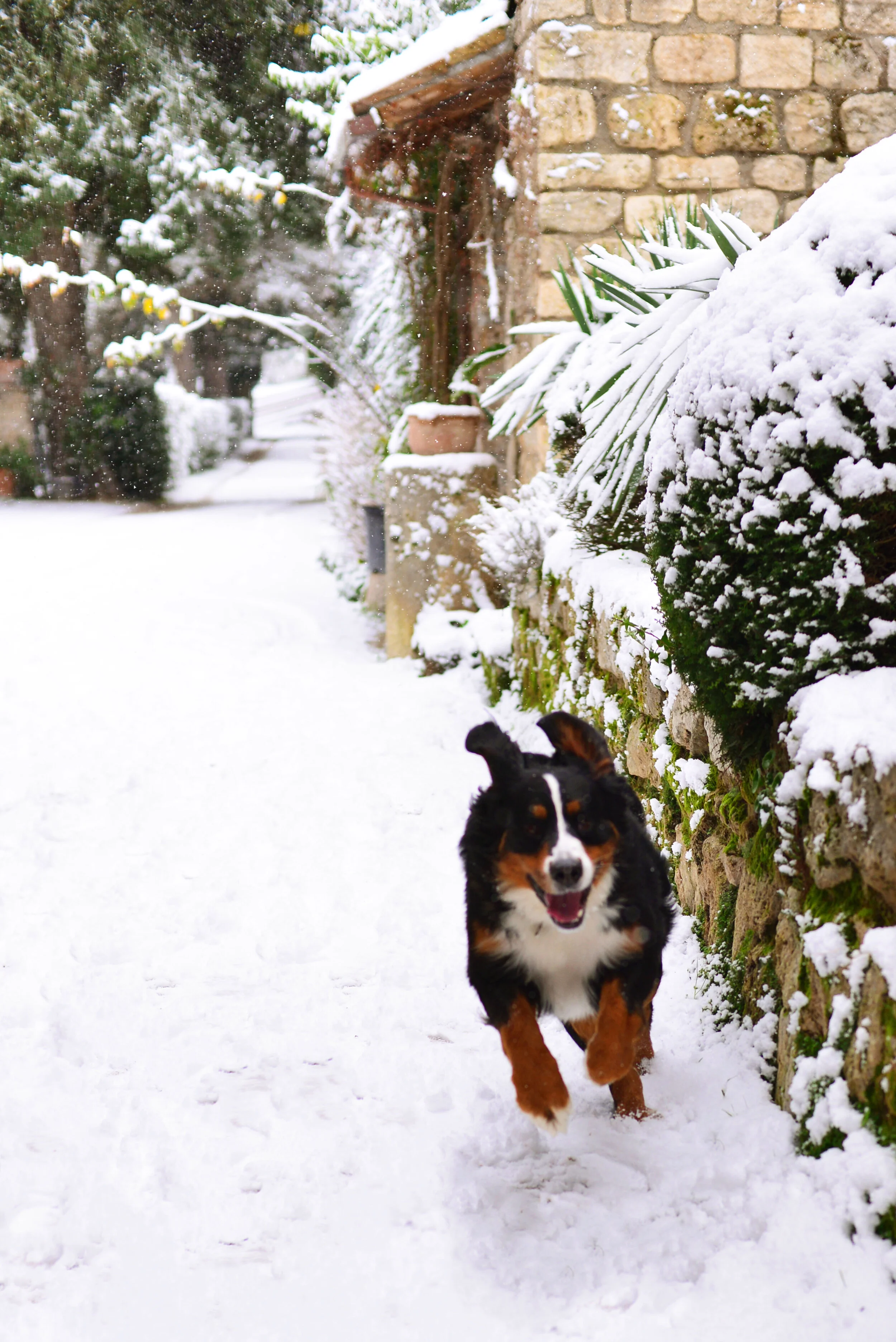 Agriturismo Villa Cicchi, Location, Inverno, Neve