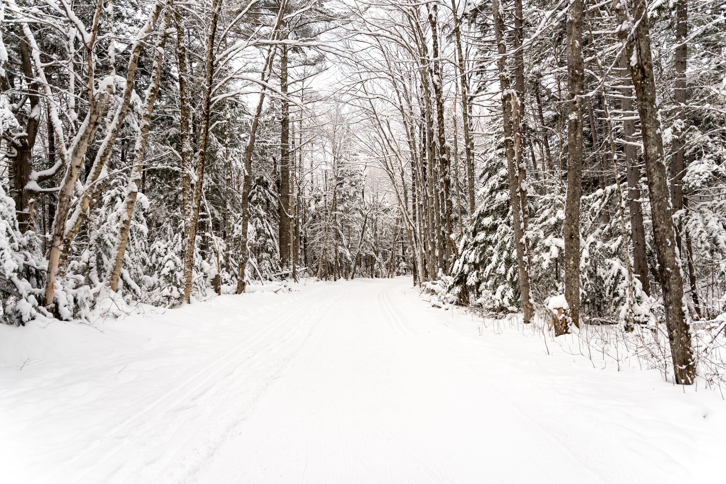 2021-01-23 Waterville Valley Snowshoeing (80 of 111).jpg