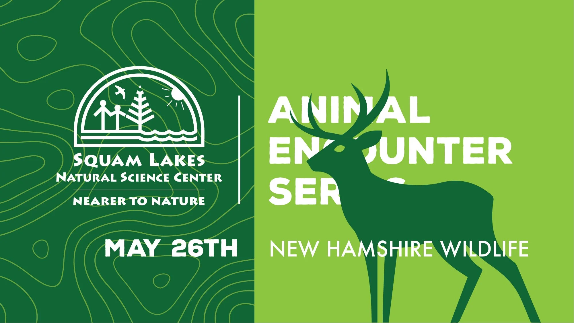 Animal Encounter Series: New Hampshire WIldlife