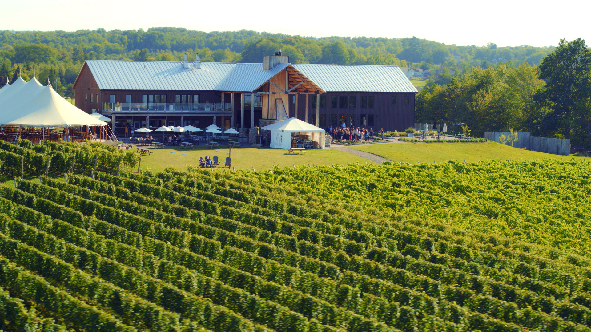 NS Tourism: Rediscover Nova Scotia - Wineries