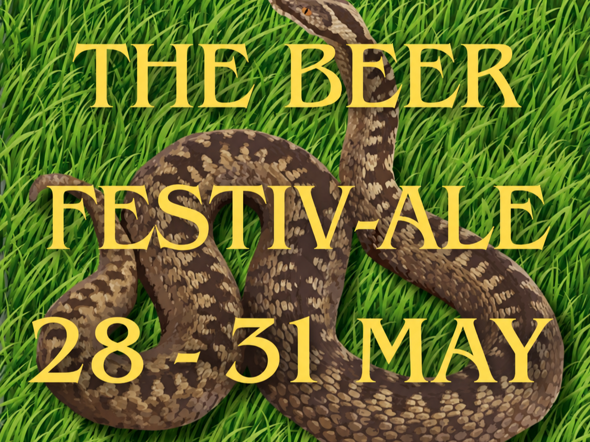 THE VIPER MAY BANK HOLIDAY BEER FESTIV-ALE 2027