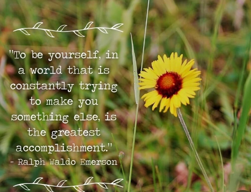 Wisdom Wednesday. #beyourself❤️ #ralphwaldoemerson #wisdomwednesday 

💚💙