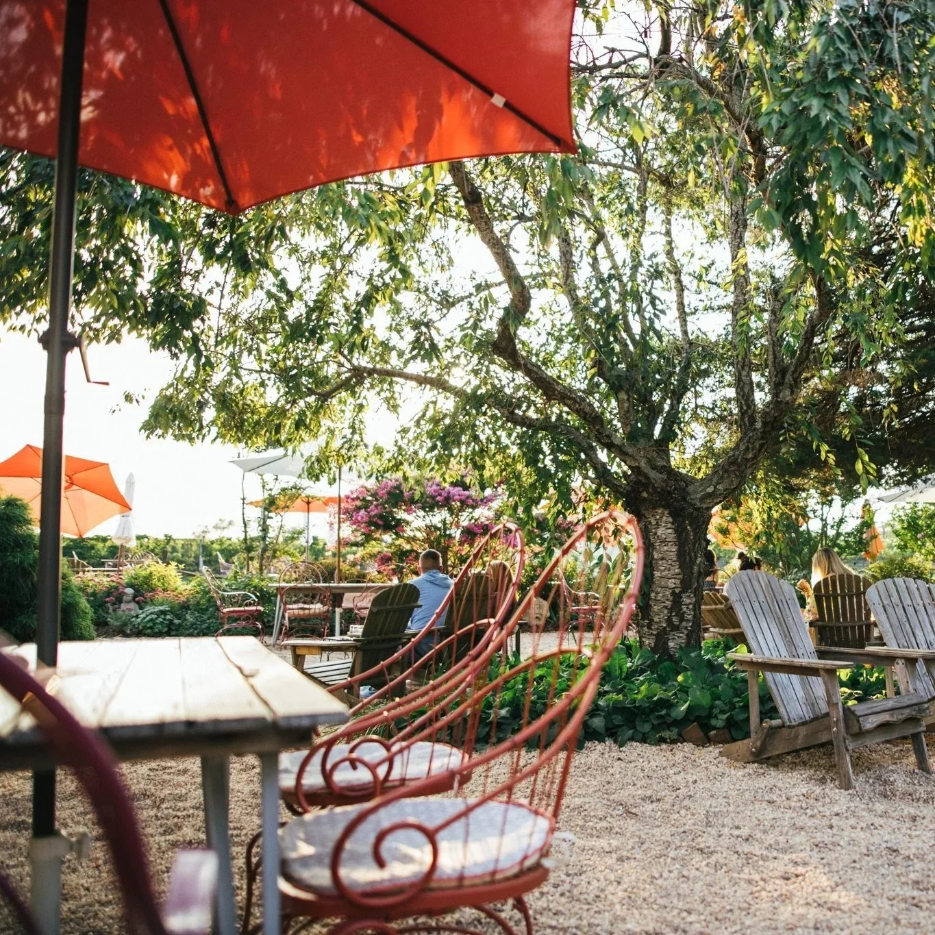 Croteaux Vineyards