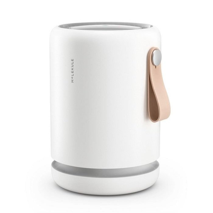 Molekule Air Mini+