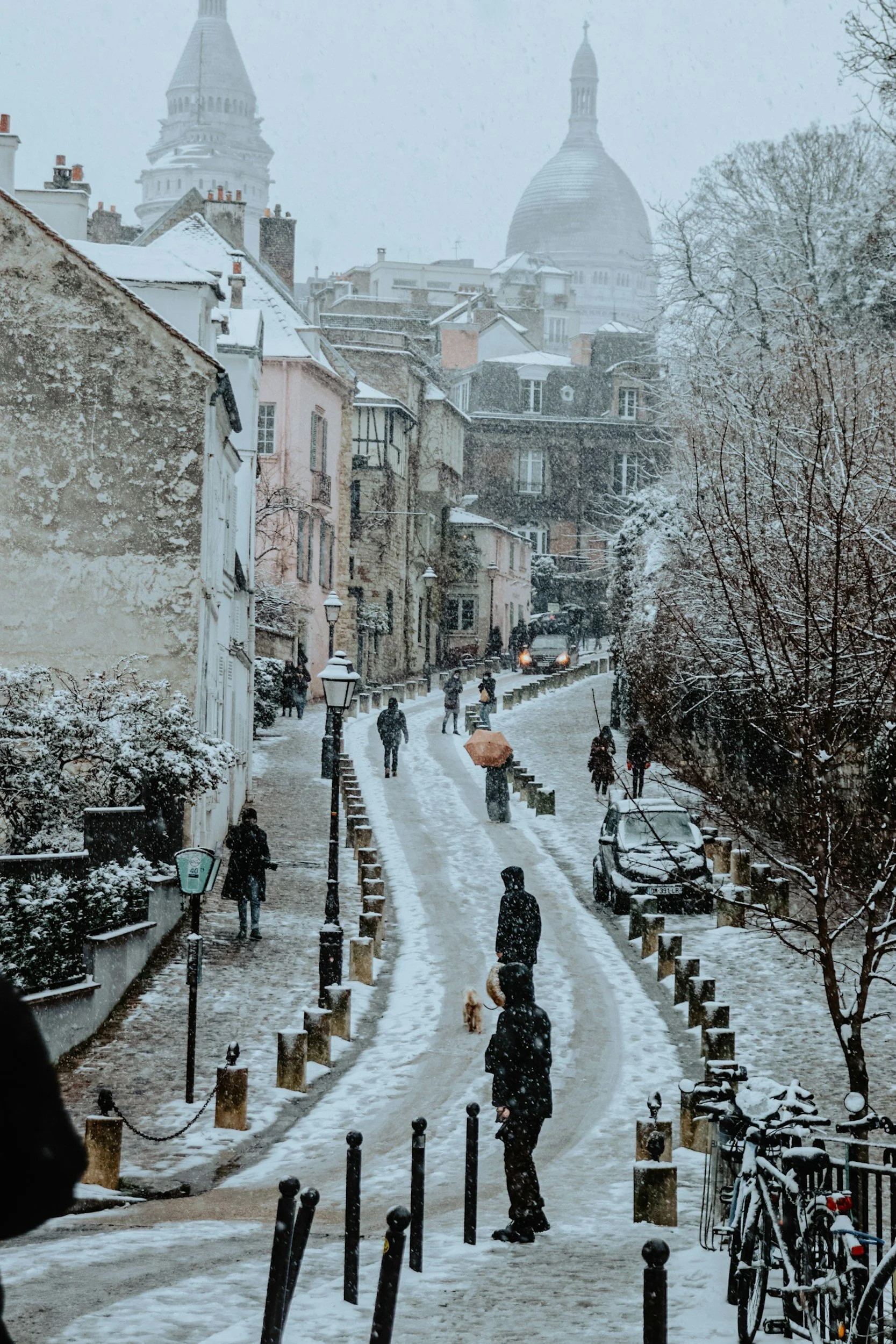 unsplash-image-LTAjlcRQcOY.jpg