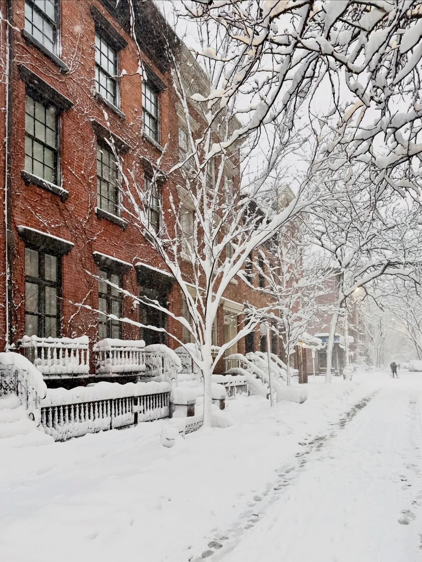 Woke up in a West Village snow globe 🌨️ ❄️ ⛄️✨
.
.
.
#petersom #westvillage #nyc #blizzard #winter