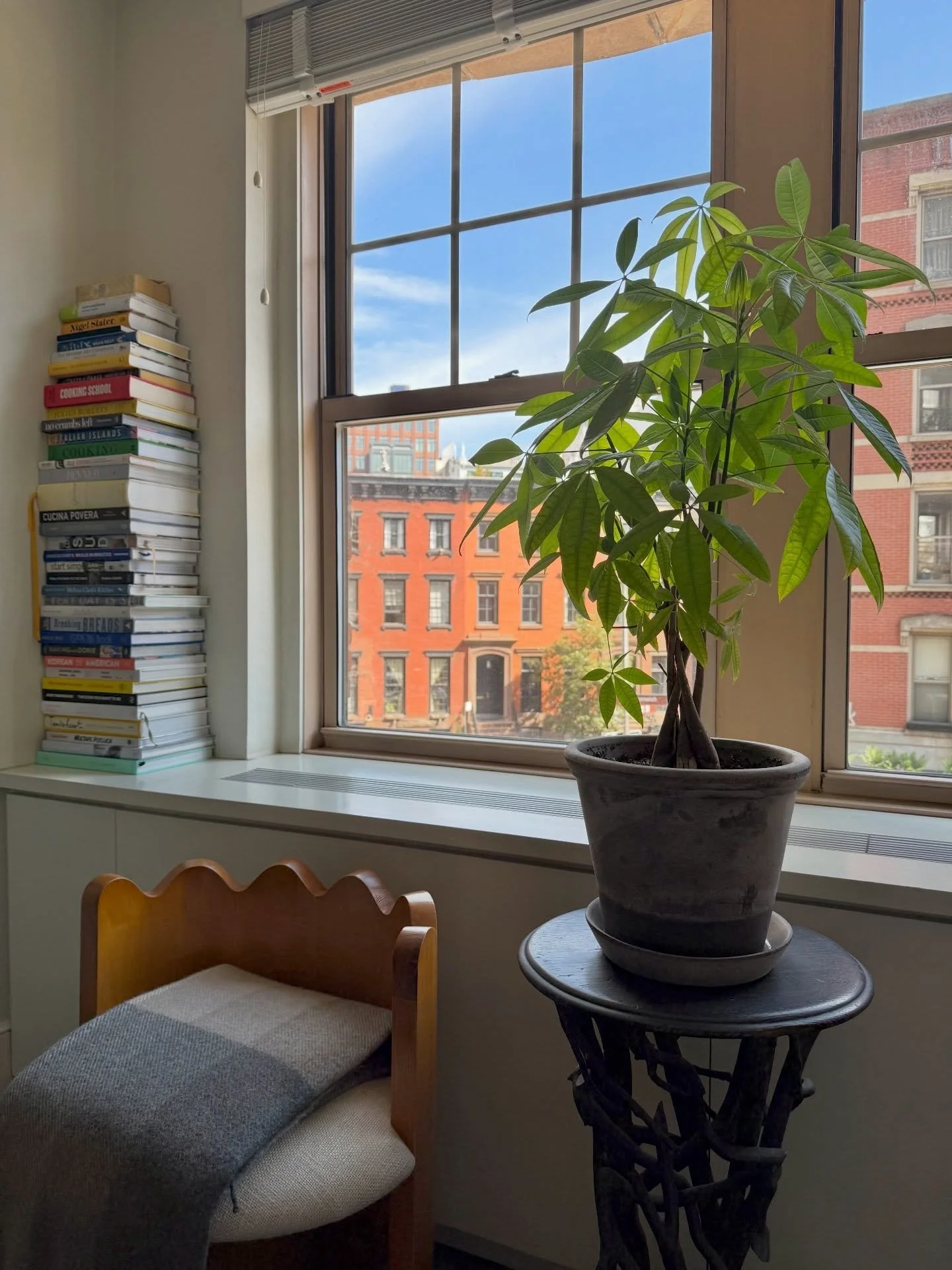Little signs of spring around the apartment 🌱 branches on the table, plants stretching toward the light, and that particular glow that means winter is almost over.🙌🏼✨
✨
Proof that the smallest shifts in the season can change everything. 🌷 
.
.
.
