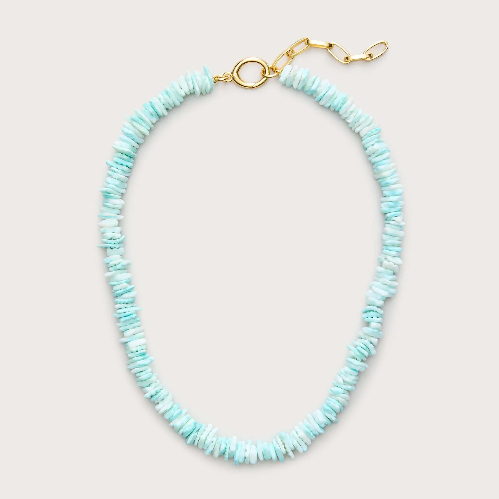J.Crew Puka Shell Necklace