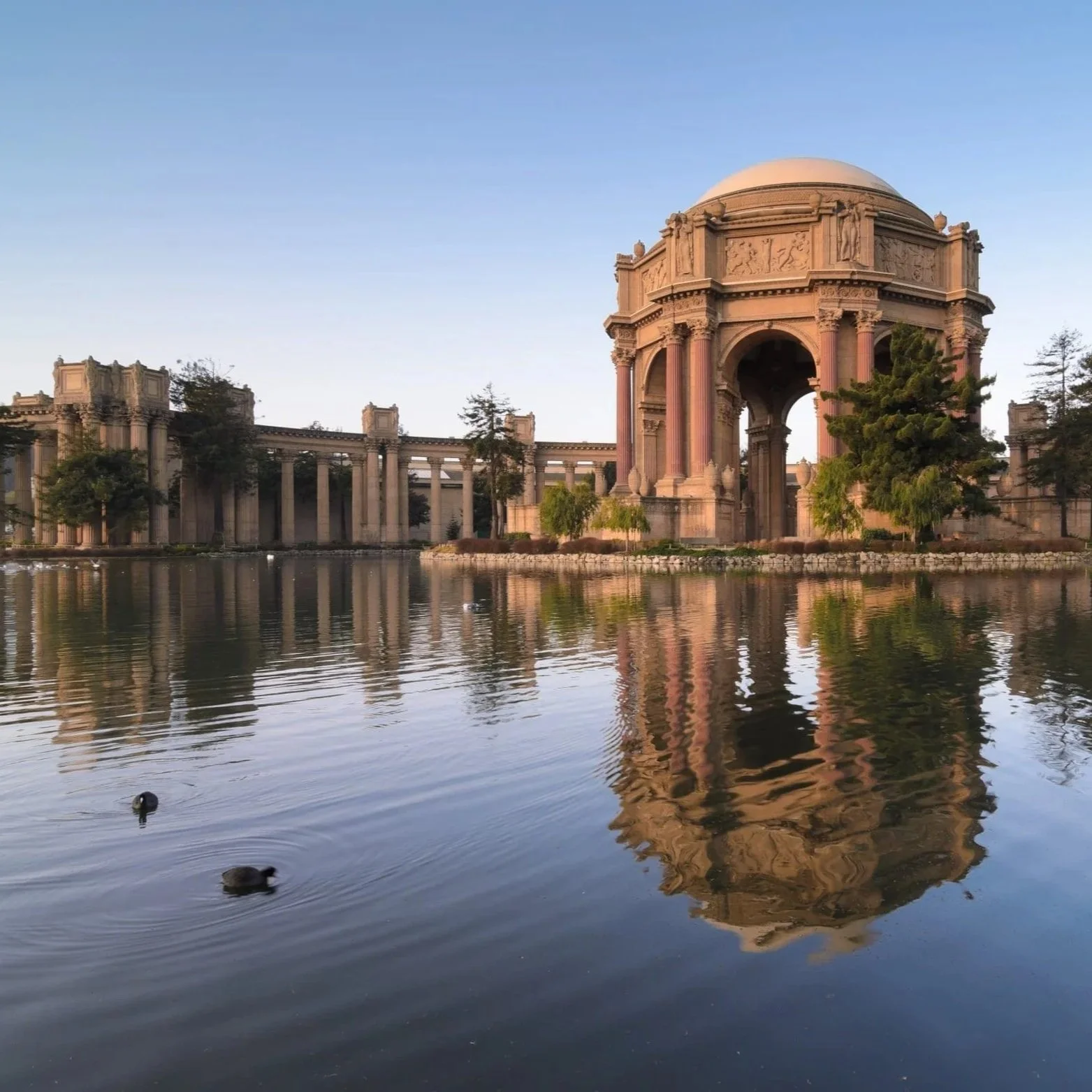 palace of fine arts