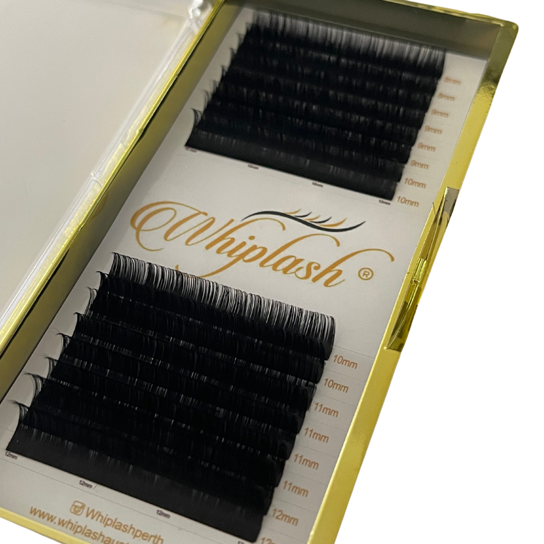 Mixed Tray Eyelash Extensions — Whiplash®