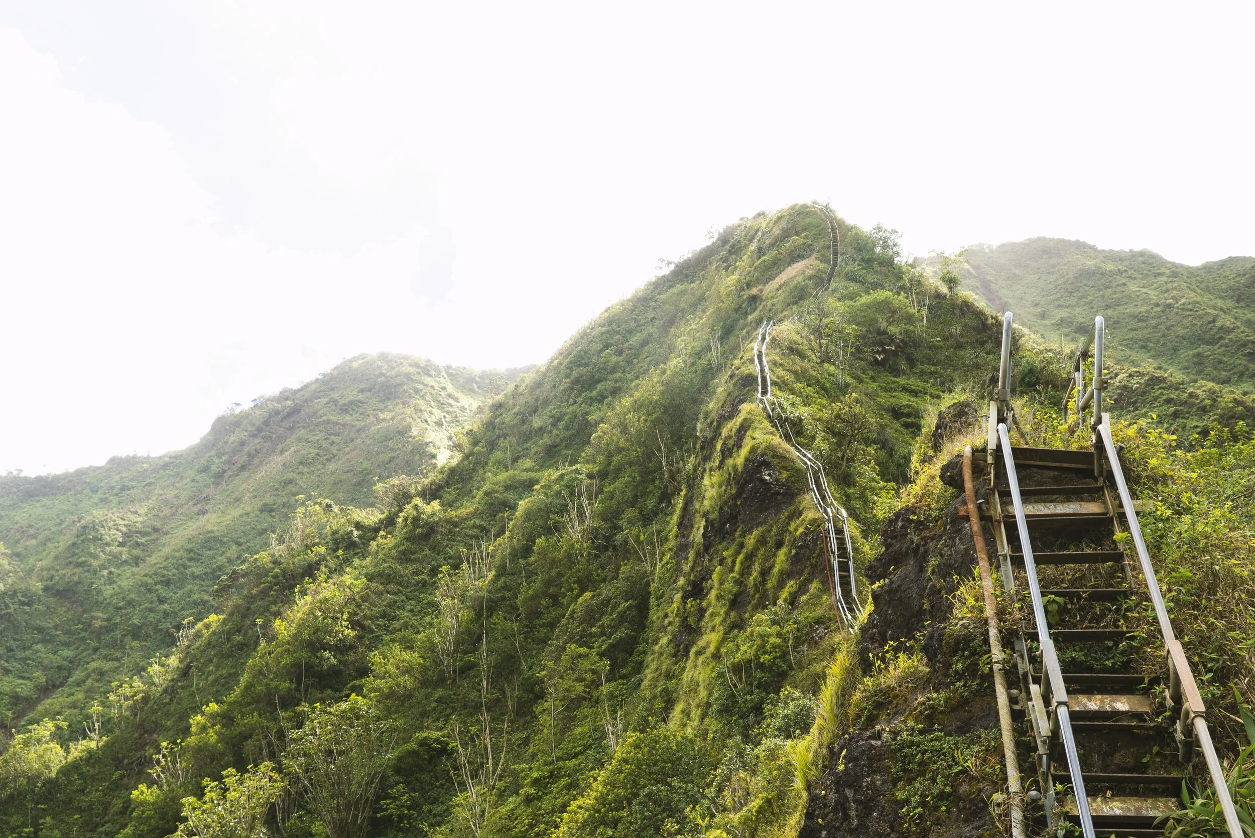 Aloha’s First Year: Our Journey is Just Beginning