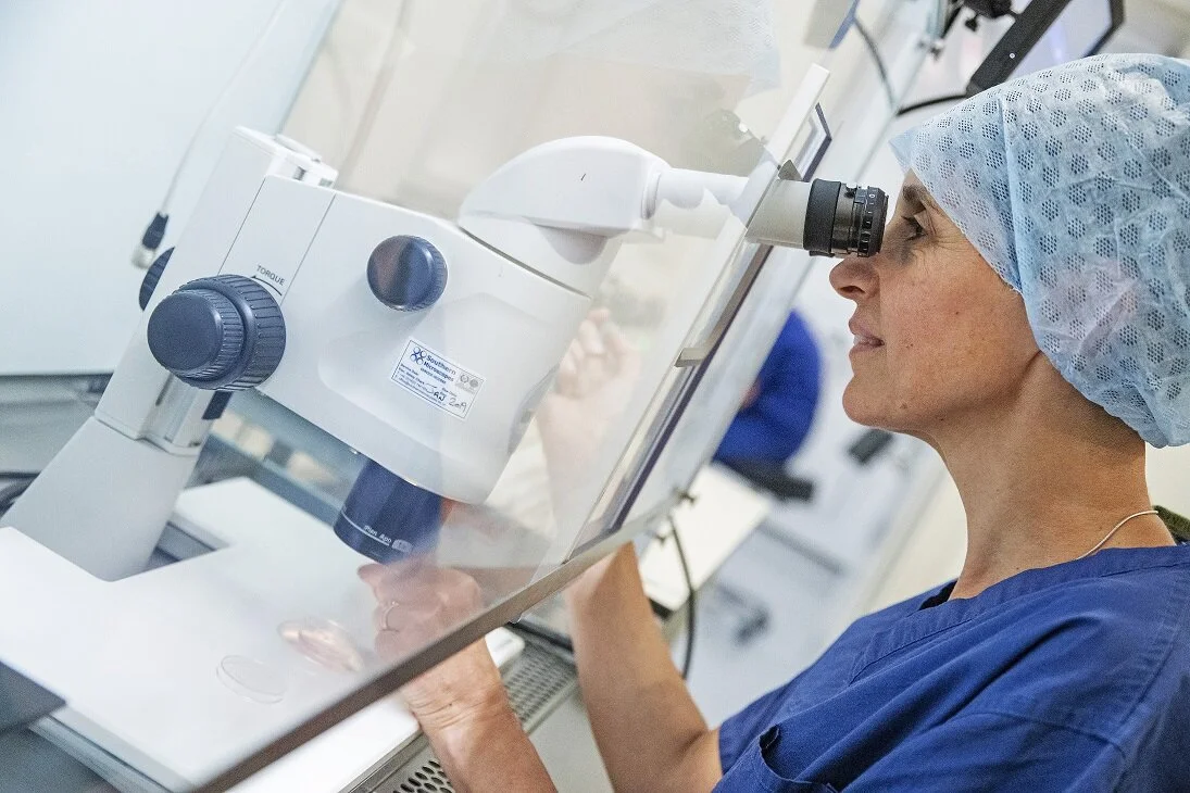 Scientists literally create new human life