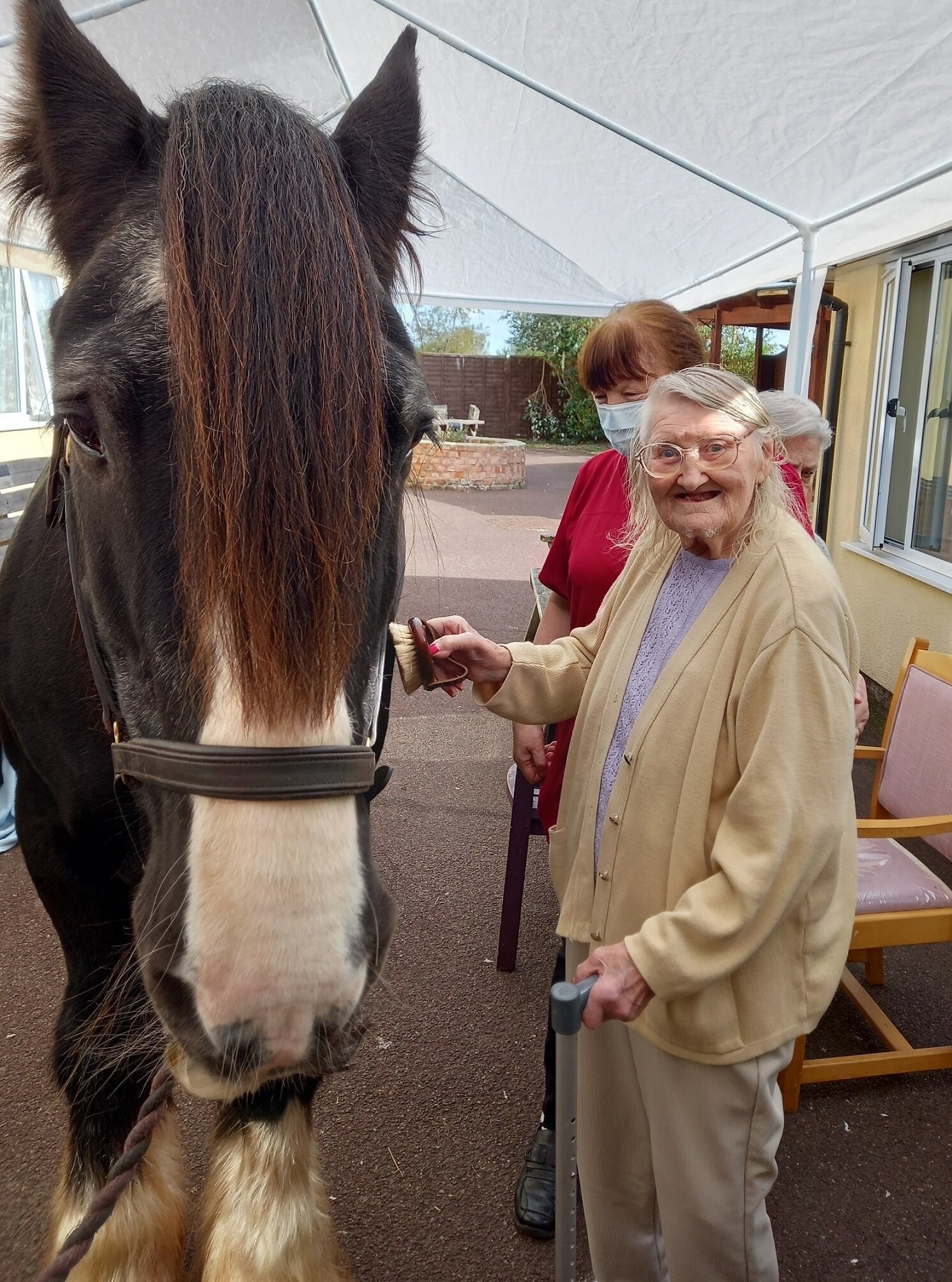 Captain commands the affections of residents with dementia — Loop South ...
