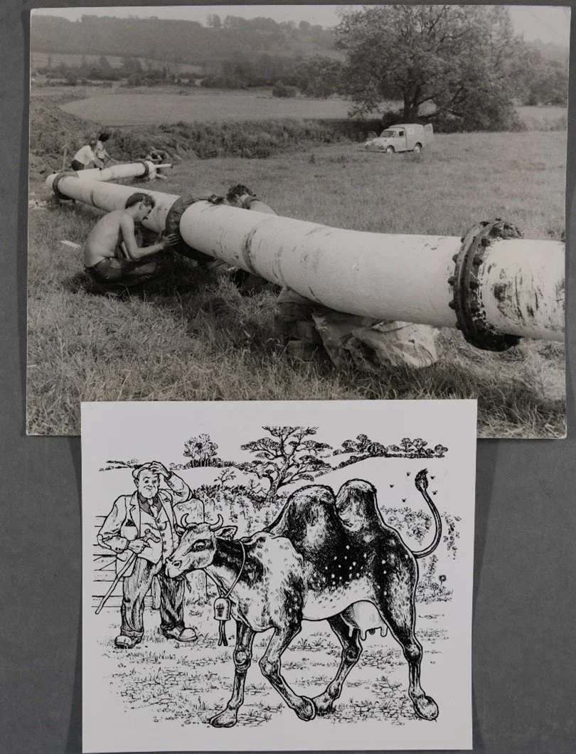 Major investment in the historic archives of the water industry in Dorset