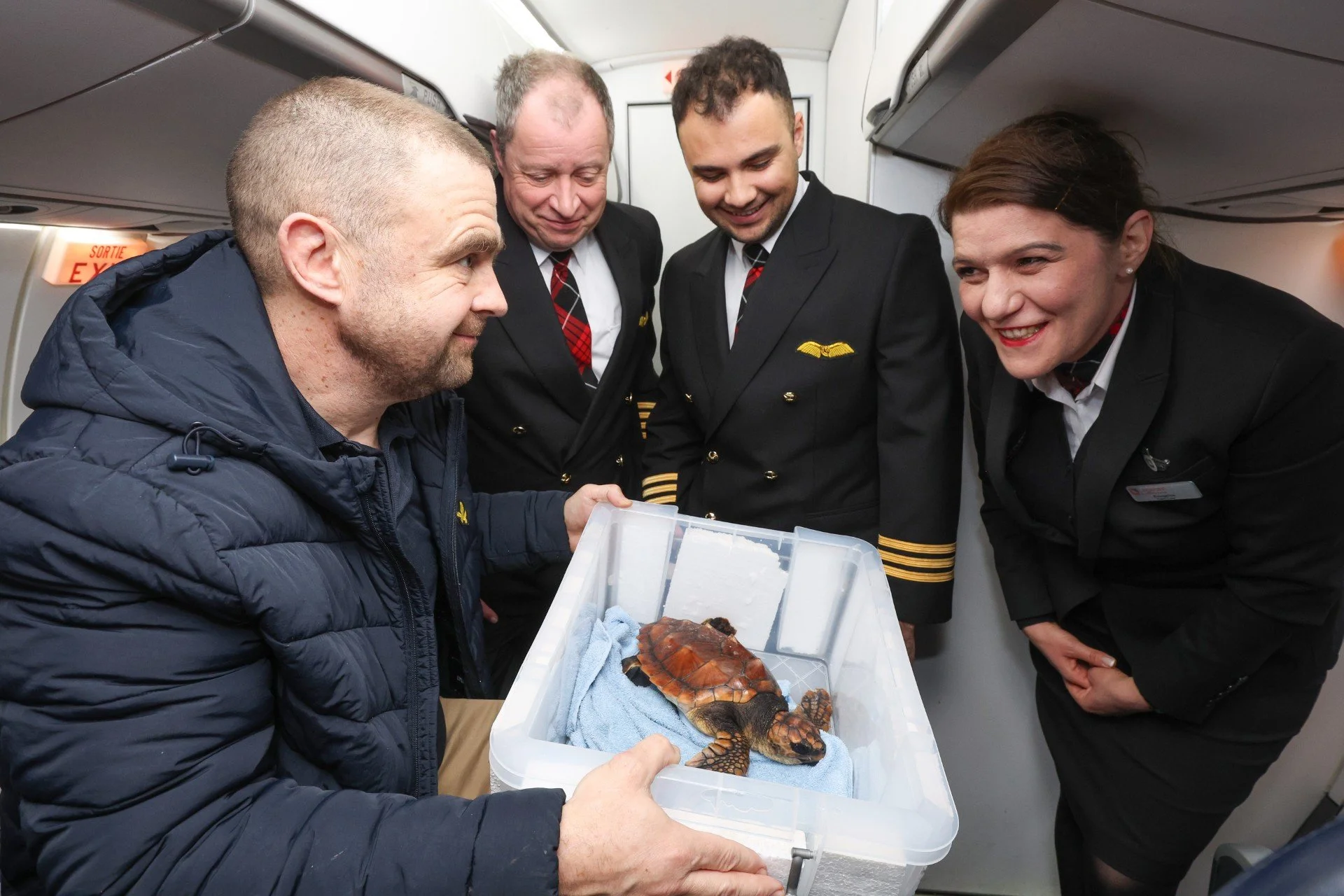 Shell-ebrity&nbsp;On Board: Rescued Sea Turtle Flown By&nbsp;Passenger Plane To&nbsp;Safety at SEA LIFE Weymouth