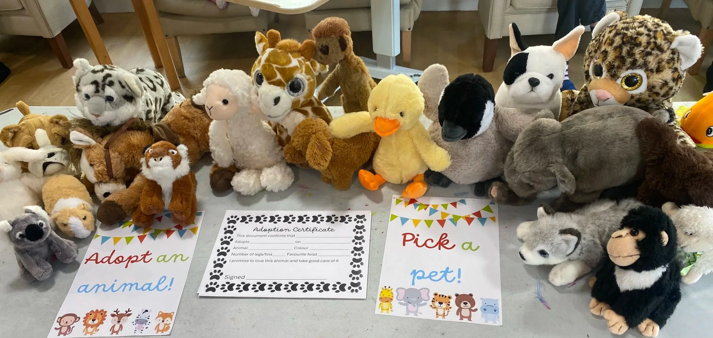 Mass animal adoptions at Wellington care home