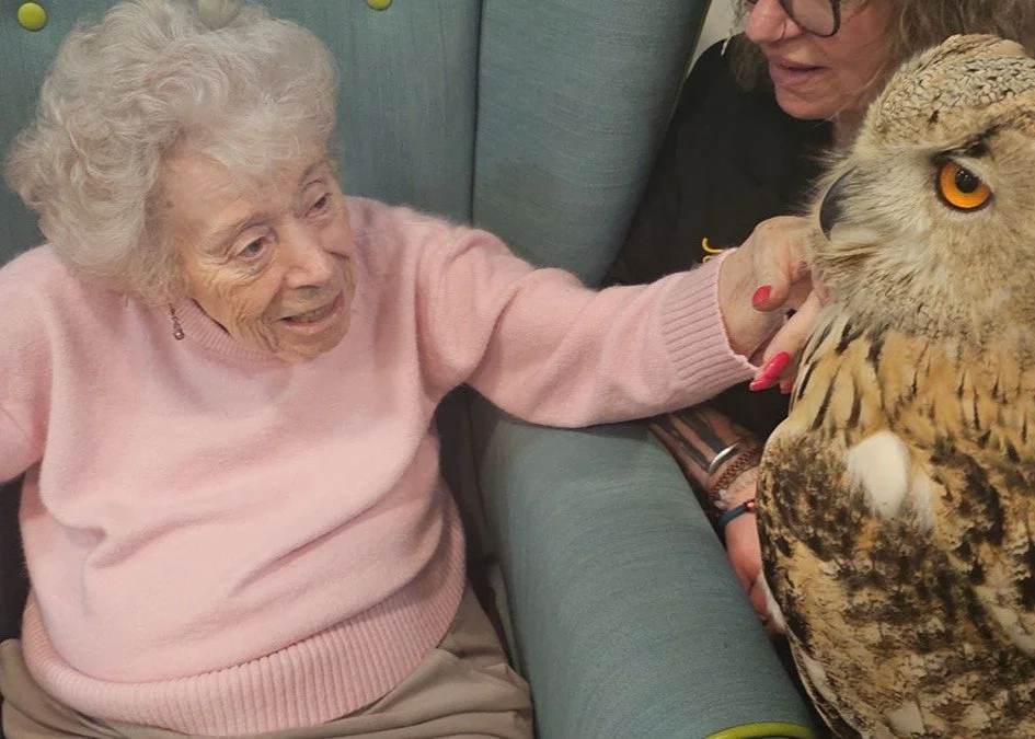 Curiosity gets the better of bird-shy Sheila