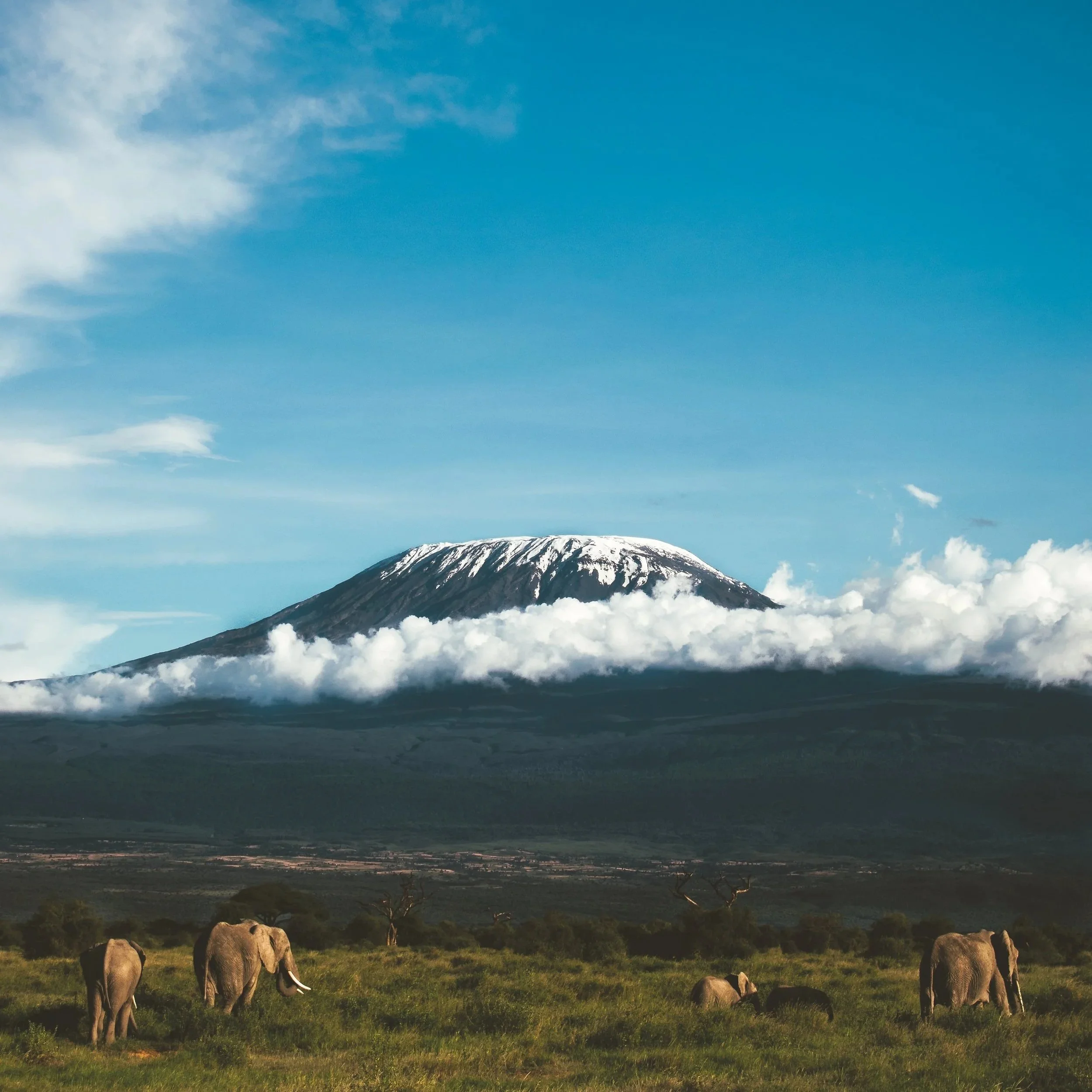 St Peter's Hospice launches once-in-a-lifetime Kilimanjaro Challenge for 2028