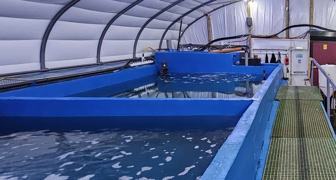 UK must ‘act now’ or fall behind on land-based seafood farming