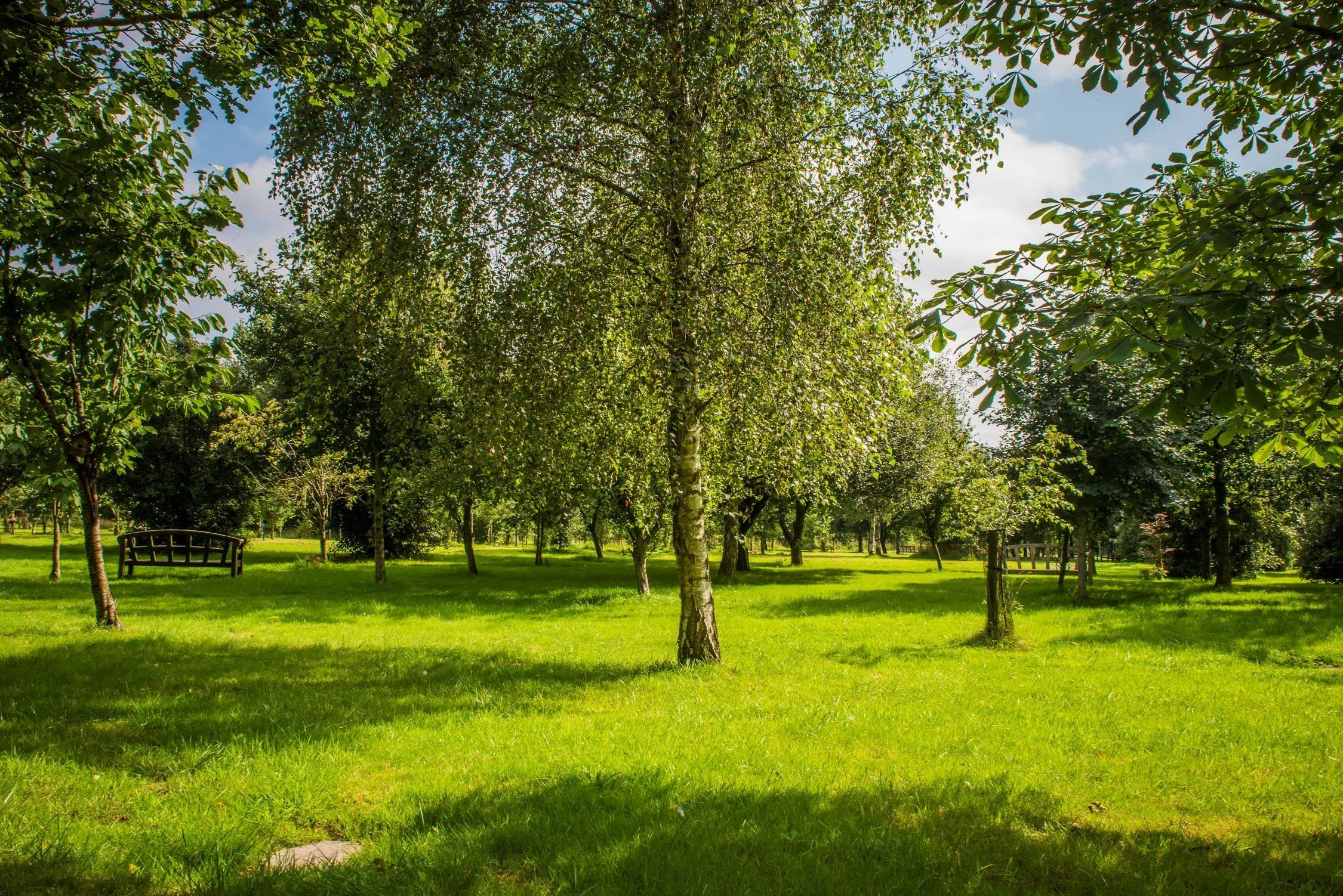 Could Bristol solve London burial crisis?