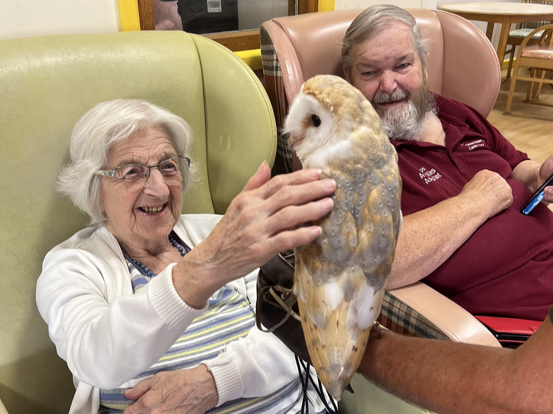 Birds of prey bring joy and excitement to care home
