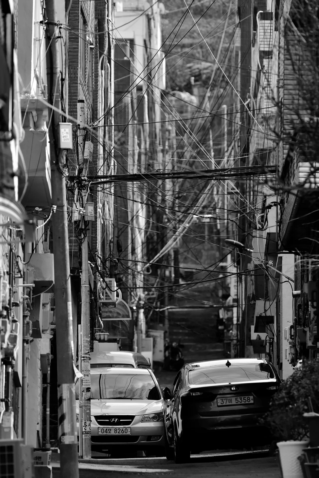 _D8A6818.JPG